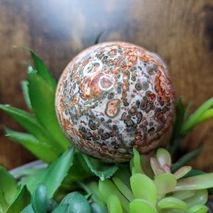🐆 leopard Jasper sphere 🐆